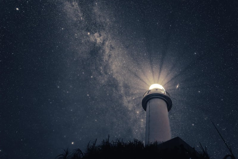 Starry Night Safari